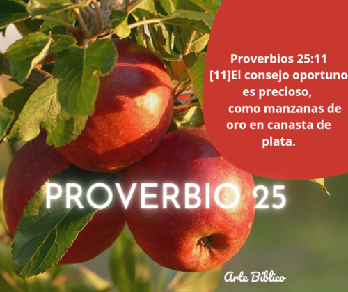 Devocional Diario proverbios 25